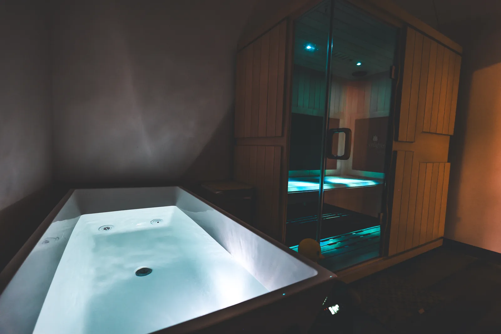 Sauna and plunge facilities